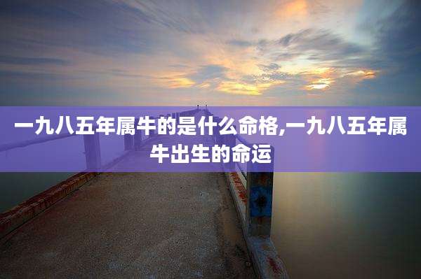一九八五年属牛的是什么命格,一九八五年属牛出生的命运