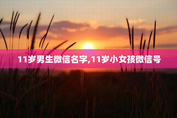 11岁男生微信名字,11岁小女孩微信号