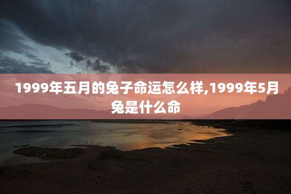 1999年五月的兔子命运怎么样,1999年5月兔是什么命