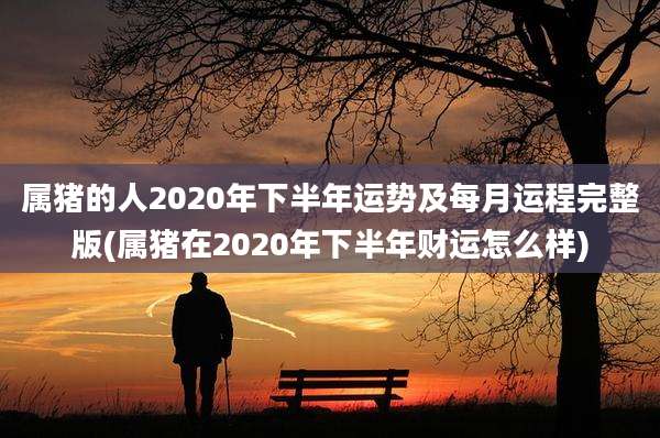 属猪的人2020年下半年运势及每月运程完整版(属猪在2020年下半年财运怎么样)