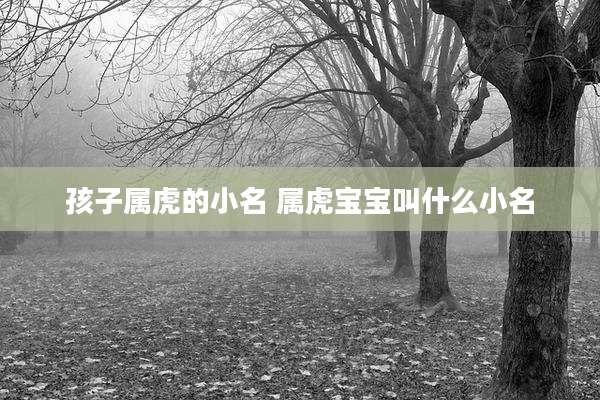 孩子属虎的小名 属虎宝宝叫什么小名