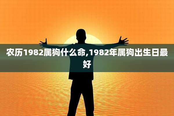 农历1982属狗什么命,1982年属狗出生日最好