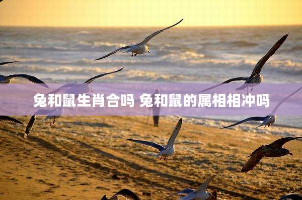 兔和鼠生肖合吗 兔和鼠的属相相冲吗