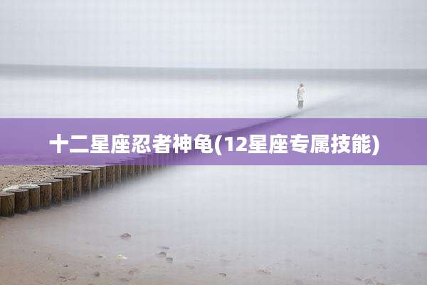 十二星座忍者神龟(12星座专属技能)