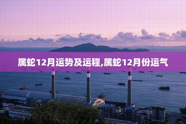 属蛇12月运势及运程,属蛇12月份运气