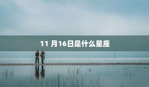 11 月16日是什么星座
