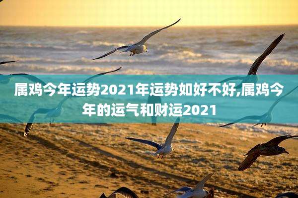 属鸡今年运势2021年运势如好不好,属鸡今年的运气和财运2021