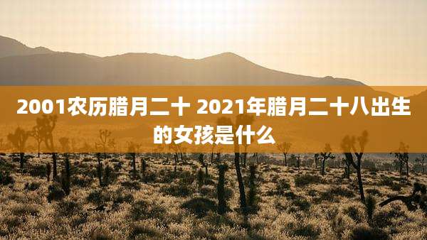 2001农历腊月二十 2021年腊月二十八出生的女孩是什么