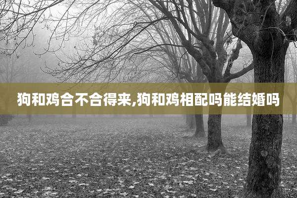 狗和鸡合不合得来,狗和鸡相配吗能结婚吗