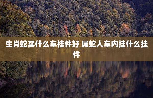 生肖蛇买什么车挂件好 属蛇人车内挂什么挂件