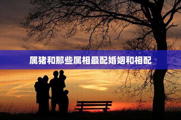 属猪和那些属相最配婚姻和相配