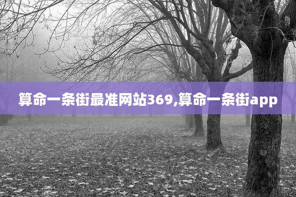 算命一条街最准网站369,算命一条街app