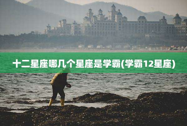 十二星座哪几个星座是学霸(学霸12星座)