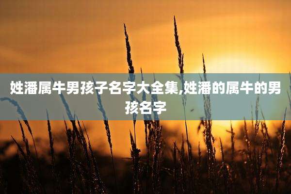 姓潘属牛男孩子名字大全集,姓潘的属牛的男孩名字