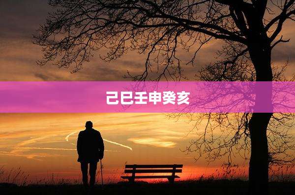 己巳壬申癸亥