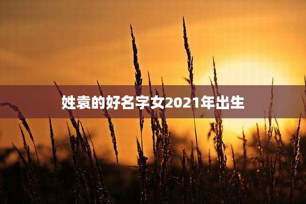 姓袁的好名字女2021年出生
