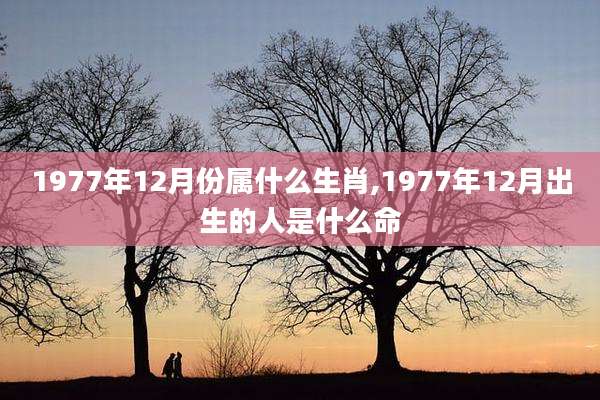 1977年12月份属什么生肖,1977年12月出生的人是什么命