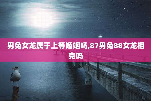 男兔女龙属于上等婚姻吗,87男兔88女龙相克吗