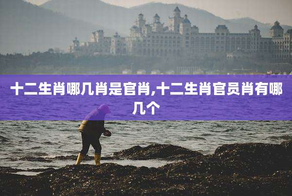 十二生肖哪几肖是官肖,十二生肖官员肖有哪几个