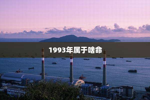 1993年属于啥命