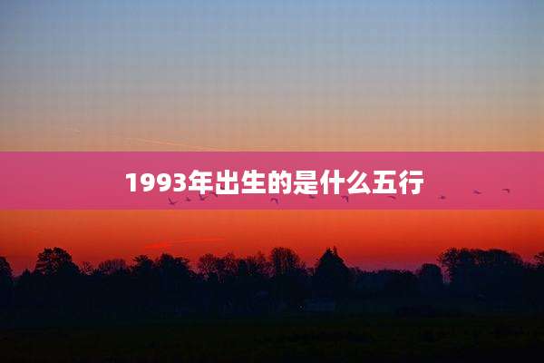 1993年出生的是什么五行
