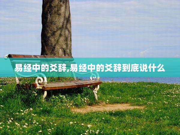 易经中的爻辞,易经中的爻辞到底说什么