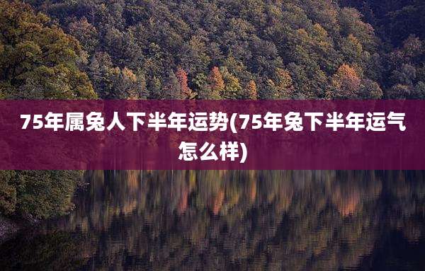 75年属兔人下半年运势(75年兔下半年运气怎么样)