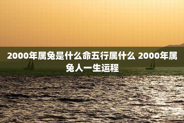 2000年属兔是什么命五行属什么 2000年属兔人一生运程