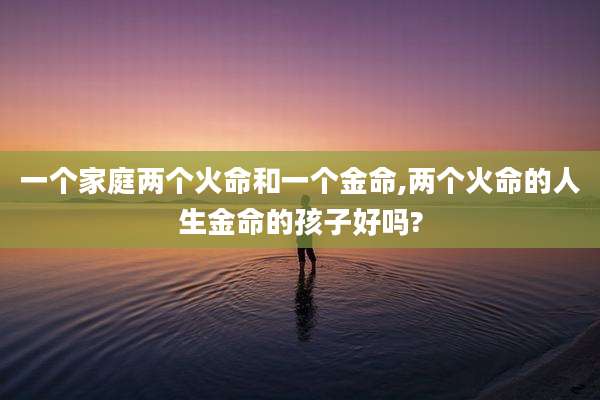 一个家庭两个火命和一个金命,两个火命的人生金命的孩子好吗?
