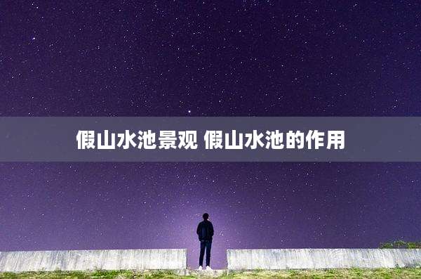 假山水池景观 假山水池的作用