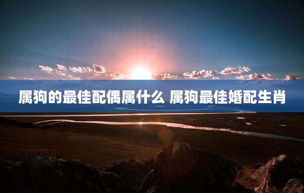 属狗的最佳配偶属什么 属狗最佳婚配生肖