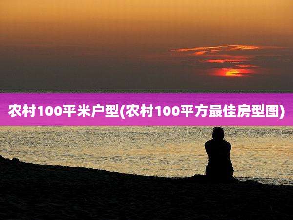 农村100平米户型(农村100平方最佳房型图)