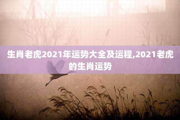 生肖老虎2021年运势大全及运程,2021老虎的生肖运势