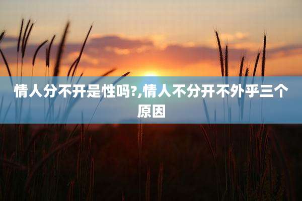 情人分不开是性吗?,情人不分开不外乎三个原因