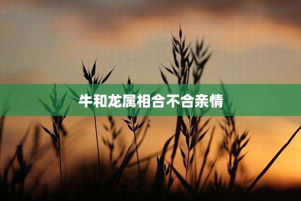 牛和龙属相合不合亲情