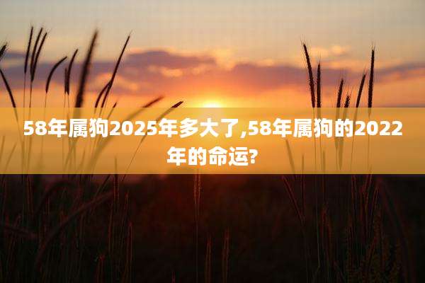 58年属狗2025年多大了,58年属狗的2022年的命运?