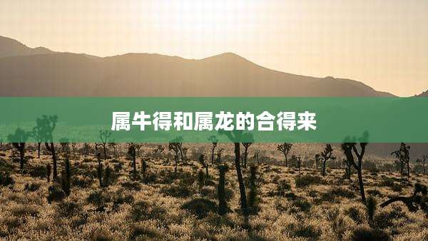 属牛得和属龙的合得来