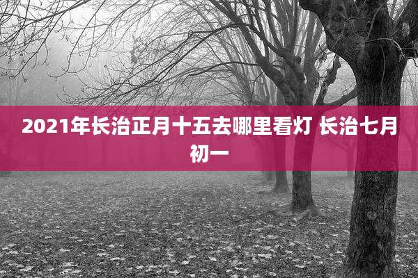 2021年长治正月十五去哪里看灯 长治七月初一