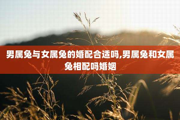 男属兔与女属兔的婚配合适吗,男属兔和女属兔相配吗婚姻