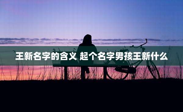 王新名字的含义 起个名字男孩王新什么