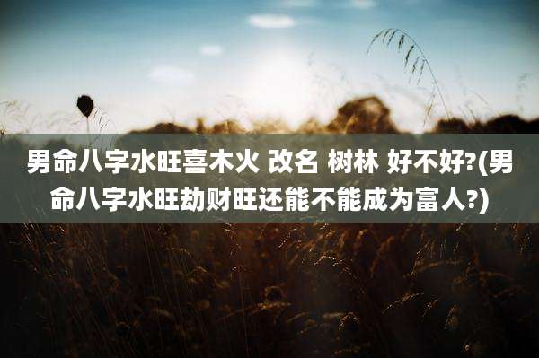 男命八字水旺喜木火 改名 树林 好不好?(男命八字水旺劫财旺还能不能成为富人?)