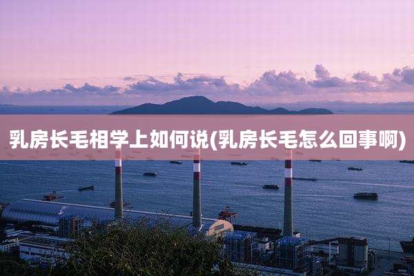 乳房长毛相学上如何说(乳房长毛怎么回事啊)