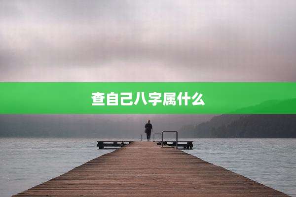 查自己八字属什么