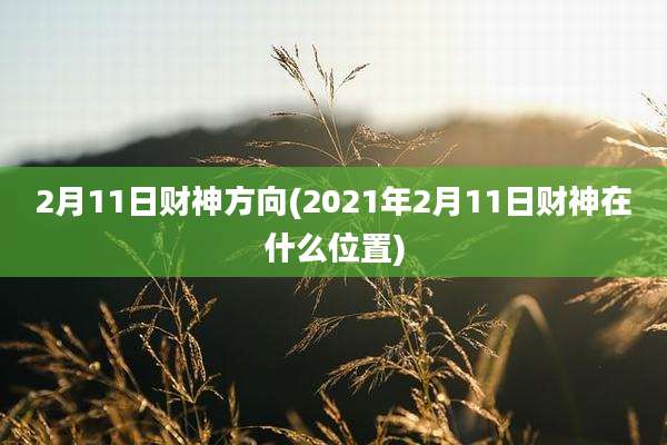 2月11日财神方向(2021年2月11日财神在什么位置)