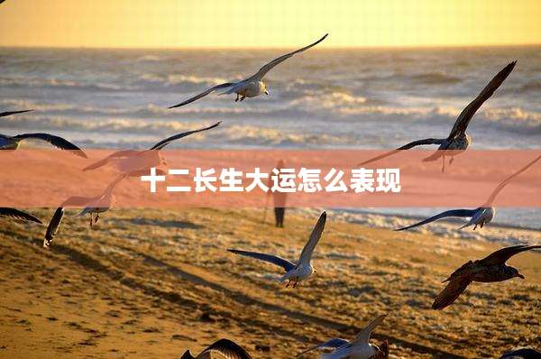 十二长生大运怎么表现