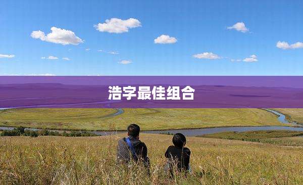 浩字最佳组合