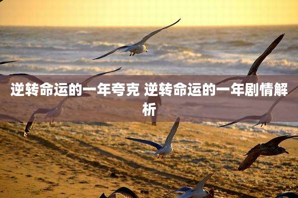 逆转命运的一年夸克 逆转命运的一年剧情解析