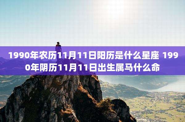 1990年农历11月11日阳历是什么星座 1990年阴历11月11日出生属马什么命