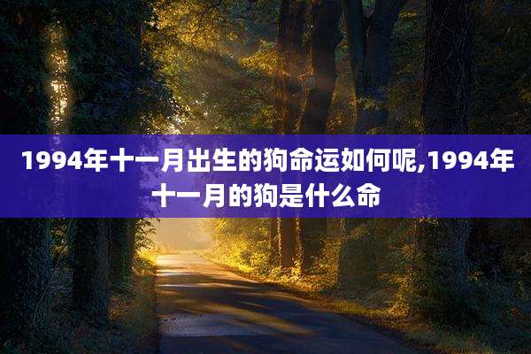 1994年十一月出生的狗命运如何呢,1994年十一月的狗是什么命