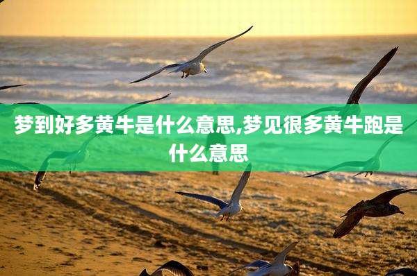 梦到好多黄牛是什么意思,梦见很多黄牛跑是什么意思